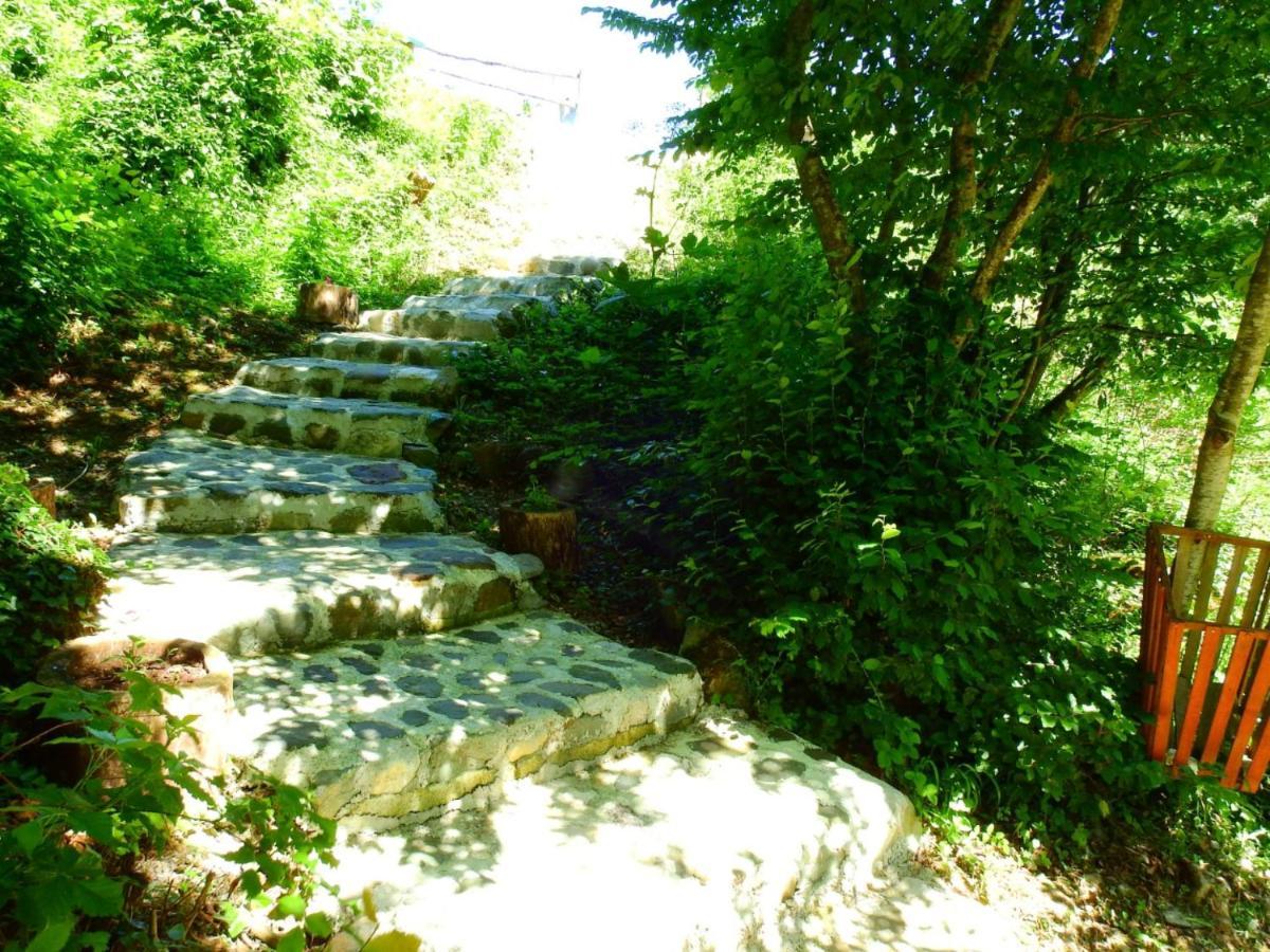 מויקובאץ Private Accommodation Kalezic מראה חיצוני תמונה