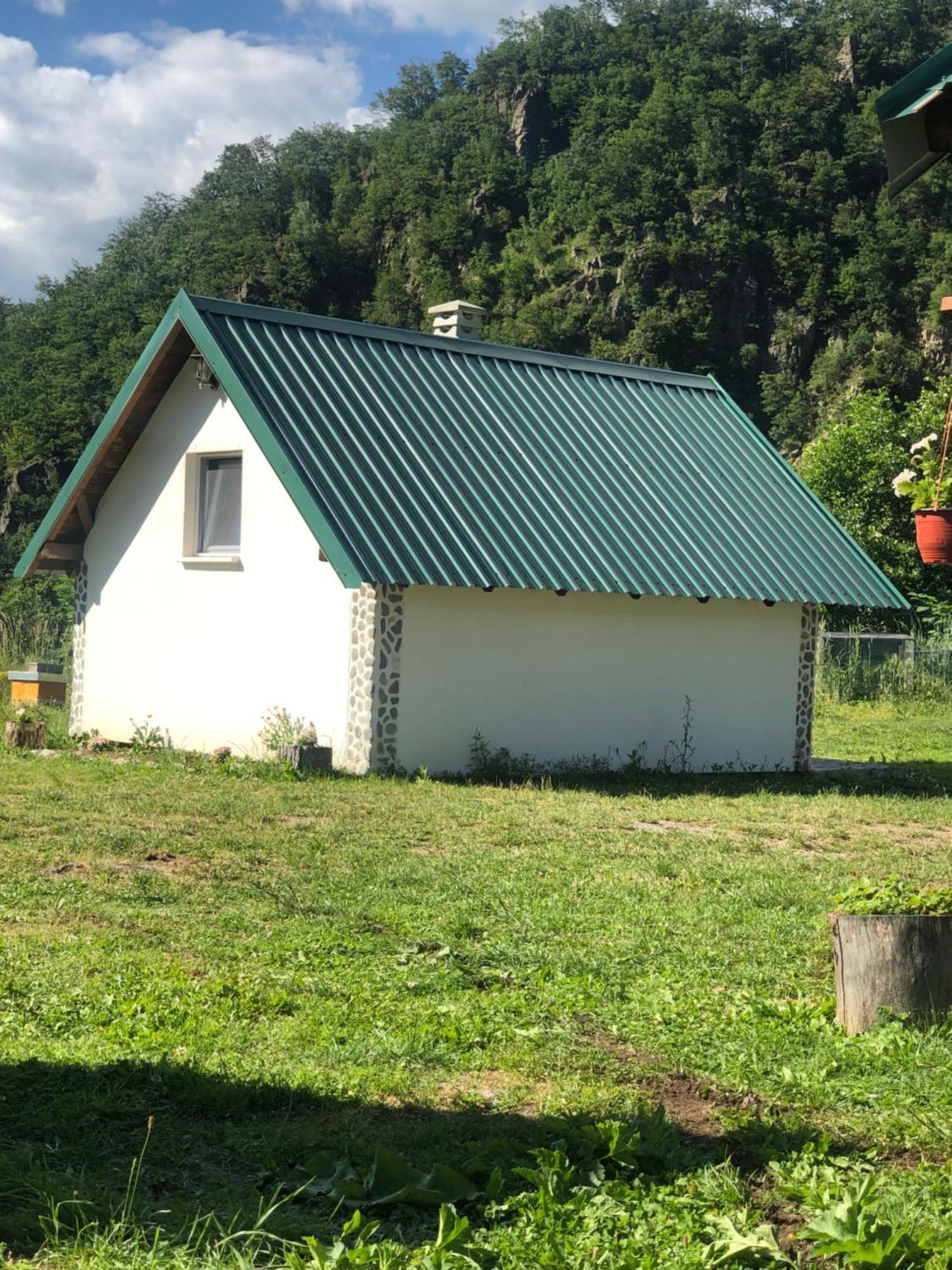 מויקובאץ Private Accommodation Kalezic מראה חיצוני תמונה